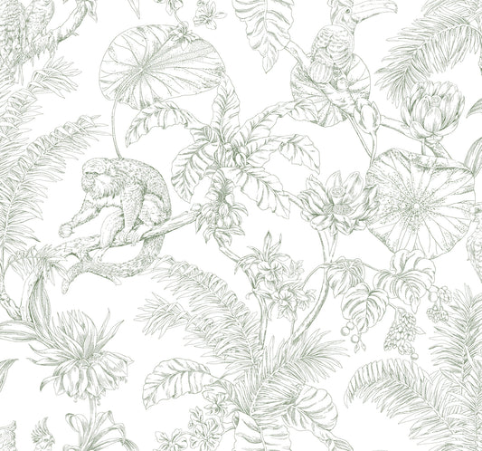 York Wallcoverings Toile Resource Library Tropical Sketch Toile Forest Wallpaper Eclectic Toile Whites and Off-Whites   - RT7842