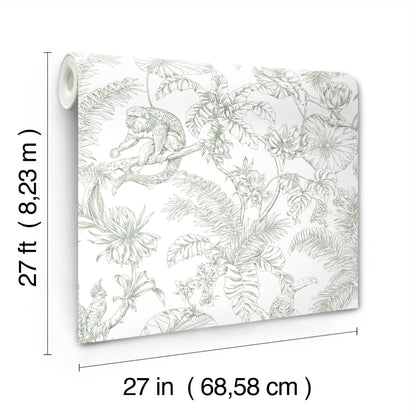 York Wallcoverings Toile Resource Library Tropical Sketch Toile Forest Wallpaper Eclectic Toile Whites and Off-Whites   - RT7842