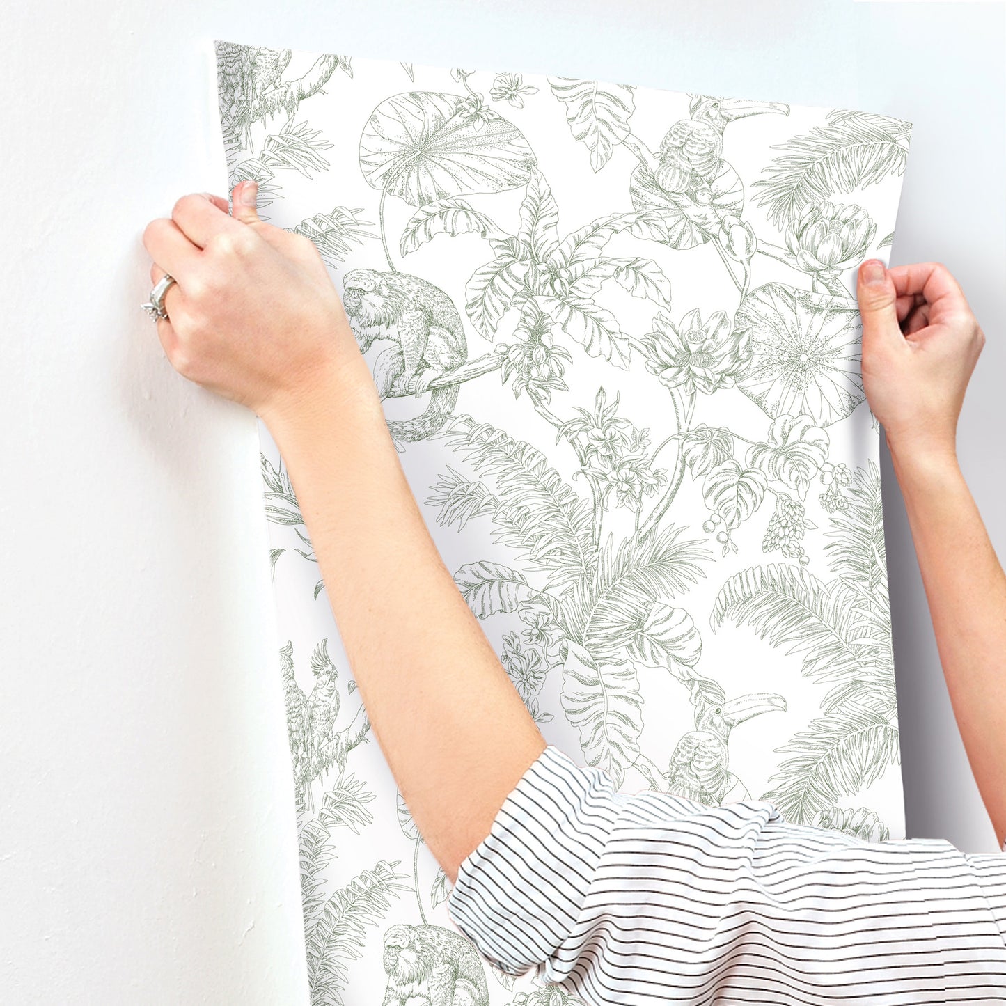 York Wallcoverings Toile Resource Library Tropical Sketch Toile Forest Wallpaper Eclectic Toile Whites and Off-Whites   - RT7842