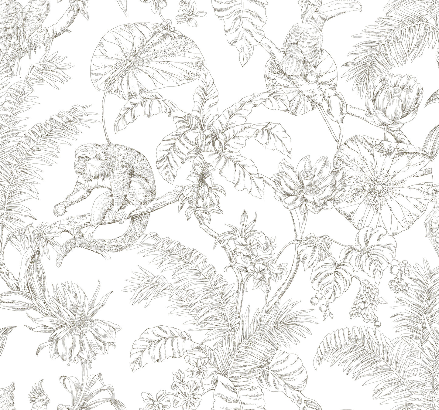 York Wallcoverings Toile Resource Library Tropical Sketch Toile Brown Wallpaper Eclectic Toile Whites and Off-Whites   - RT7843