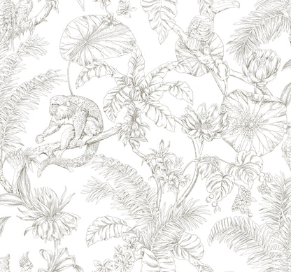 York Wallcoverings Toile Resource Library Tropical Sketch Toile Brown Wallpaper Eclectic Toile Whites and Off-Whites   - RT7843