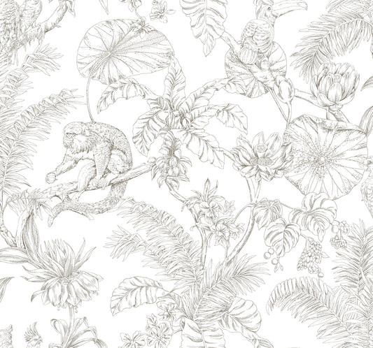 York Wallcoverings Toile Resource Library Tropical Sketch Toile Brown Wallpaper Eclectic Toile Whites and Off-Whites   - RT7843