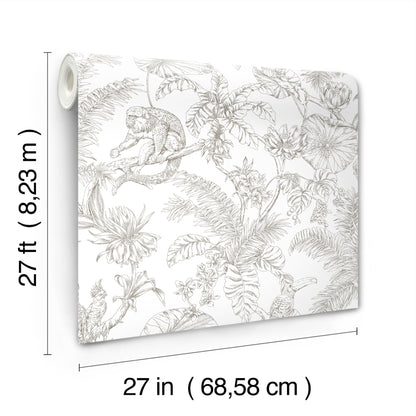 York Wallcoverings Toile Resource Library Tropical Sketch Toile Brown Wallpaper Eclectic Toile Whites and Off-Whites   - RT7843