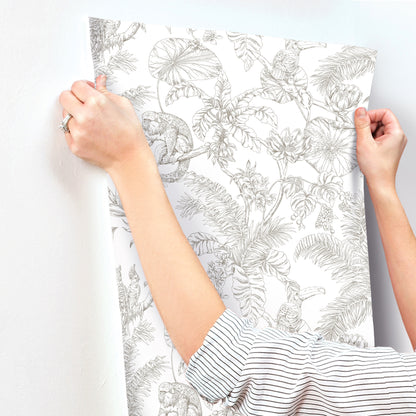 York Wallcoverings Toile Resource Library Tropical Sketch Toile Brown Wallpaper Eclectic Toile Whites and Off-Whites   - RT7843