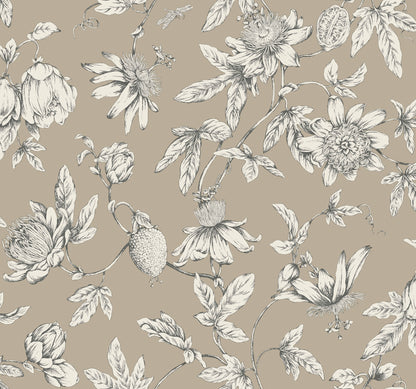 York Wallcoverings Toile Resource Library Passion Flower Toile Linen Wallpaper Traditional Toile Browns   - RT7852