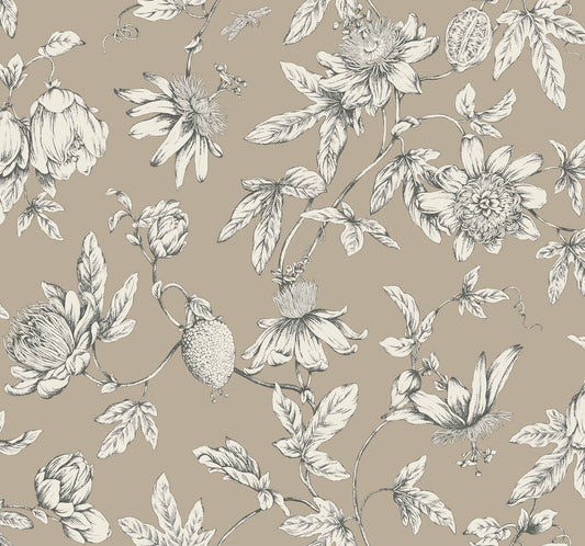York Wallcoverings Toile Resource Library Passion Flower Toile Linen Wallpaper Traditional Toile Browns   - RT7852