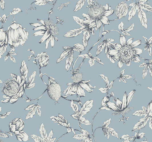 York Wallcoverings Toile Resource Library Passion Flower Toile Sky Blue Wallpaper Traditional Toile Blues   - RT7853