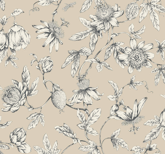 York Wallcoverings Toile Resource Library Passion Flower Toile Beige Wallpaper Traditional Toile Beiges   - RT7854