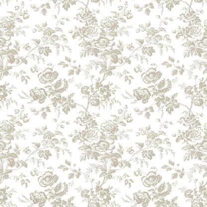 York Wallcoverings Toile Resource Library Anemone Toile Taupe Wallpaper Traditional Toile Beiges   - RT7872