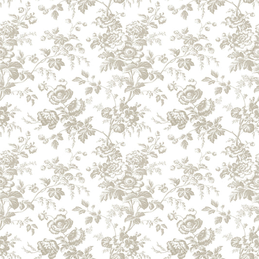 York Wallcoverings Toile Resource Library Anemone Toile Taupe Wallpaper Traditional Toile Beiges   - RT7872