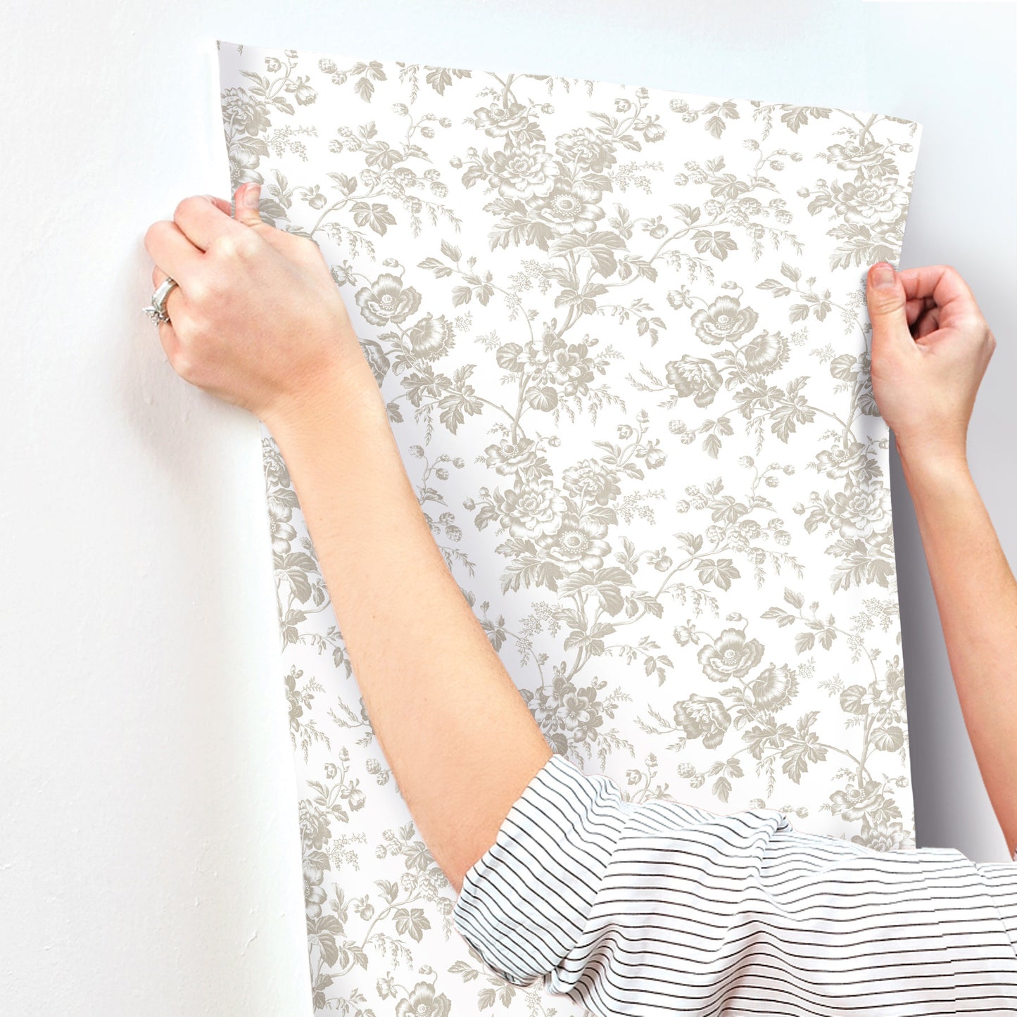 York Wallcoverings Toile Resource Library Anemone Toile Taupe Wallpaper Traditional Toile Beiges   - RT7872