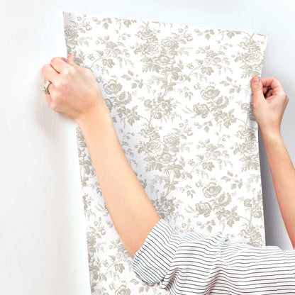 York Wallcoverings Toile Resource Library Anemone Toile Taupe Wallpaper Traditional Toile Beiges   - RT7872