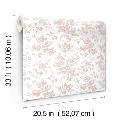 York Wallcoverings Toile Resource Library Anemone Toile Blush Wallpaper Traditional Toile Pinks   - RT7874