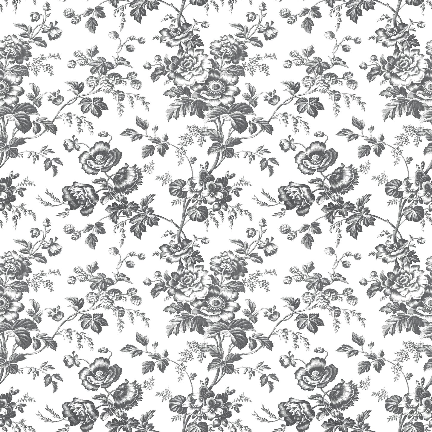 York Wallcoverings Toile Resource Library Anemone Toile Black Wallpaper Traditional Toile Blacks   - RT7875