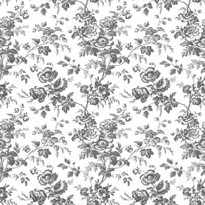 York Wallcoverings Toile Resource Library Anemone Toile Black Wallpaper Traditional Toile Blacks   - RT7875
