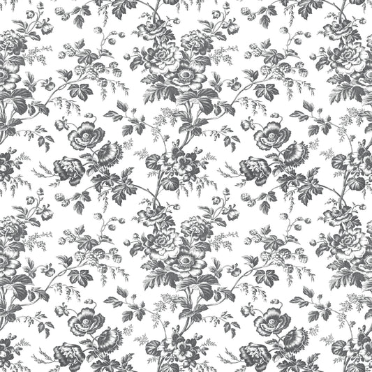 York Wallcoverings Toile Resource Library Anemone Toile Black Wallpaper Traditional Toile Blacks   - RT7875