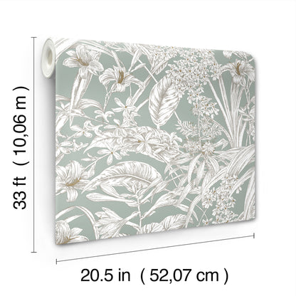 York Wallcoverings Toile Resource Library Orchid Conservatory Toile Seamist and Taupe Wallpaper Tropical Toile Blues   - RT7882