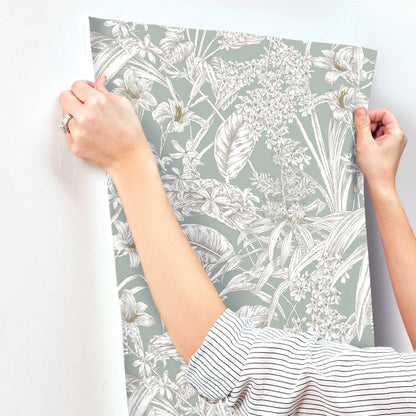 York Wallcoverings Toile Resource Library Orchid Conservatory Toile Seamist and Taupe Wallpaper Tropical Toile Blues   - RT7882