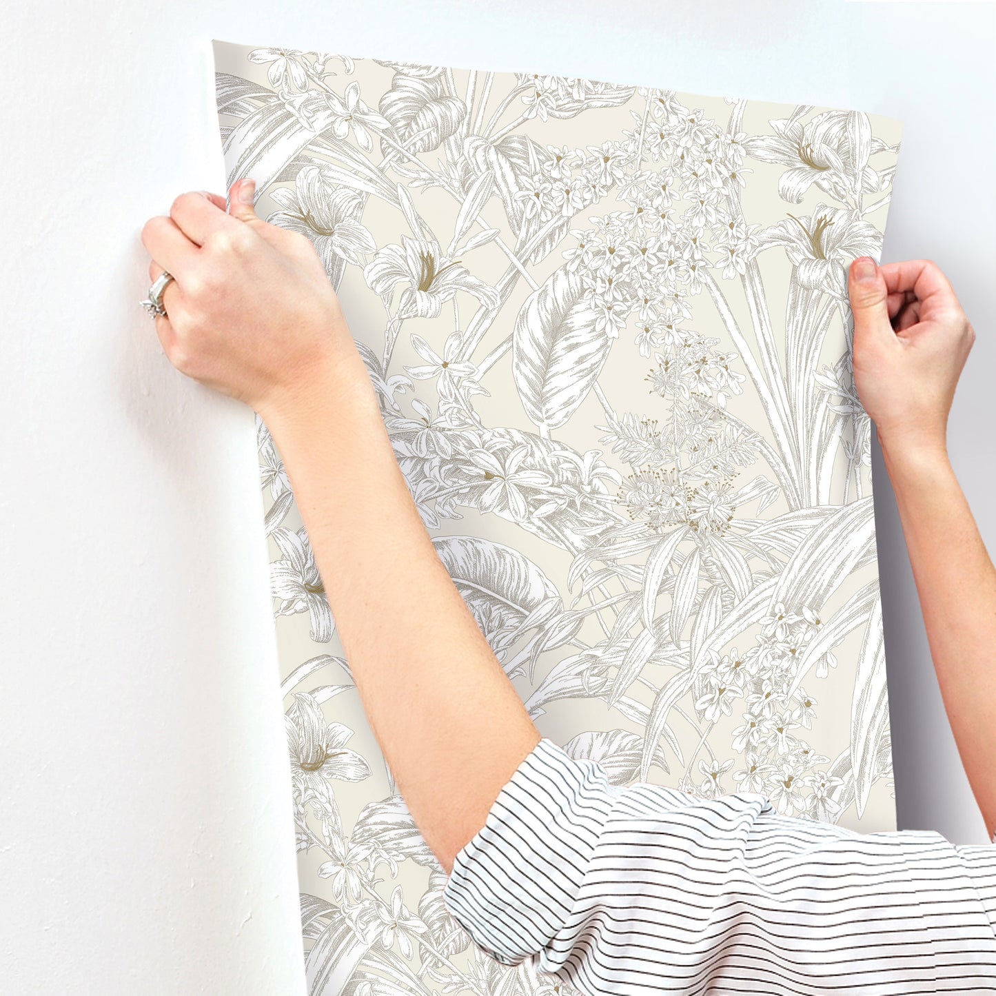 York Wallcoverings Toile Resource Library Orchid Conservatory Toile Beige and Taupe Wallpaper Tropical Toile Beiges   - RT7883