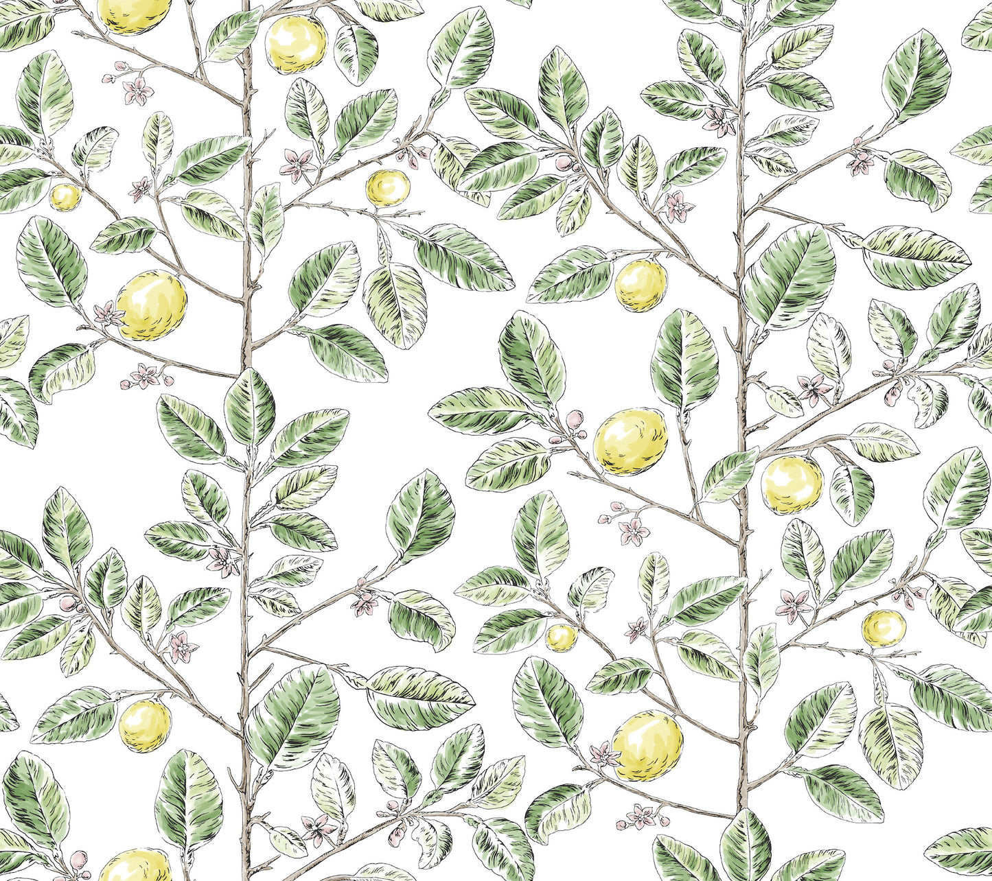 York Wallcoverings Toile Resource Library Limoncello Toile Green Wallpaper Modern Toile Greens   - RT7911