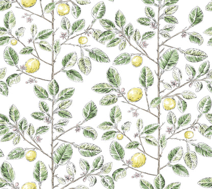 York Wallcoverings Toile Resource Library Limoncello Toile Green Wallpaper Modern Toile Greens   - RT7911