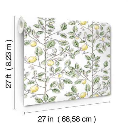 York Wallcoverings Toile Resource Library Limoncello Toile Green Wallpaper Modern Toile Greens   - RT7911