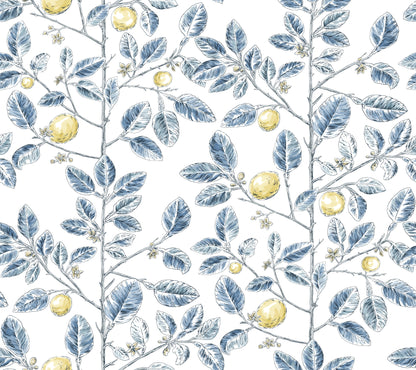 York Wallcoverings Toile Resource Library Limoncello Toile Blue Wallpaper Modern Toile Blues   - RT7913