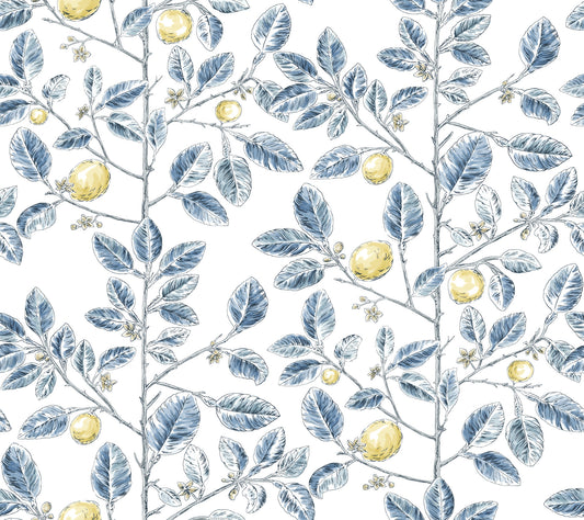 York Wallcoverings Toile Resource Library Limoncello Toile Blue Wallpaper Modern Toile Blues   - RT7913