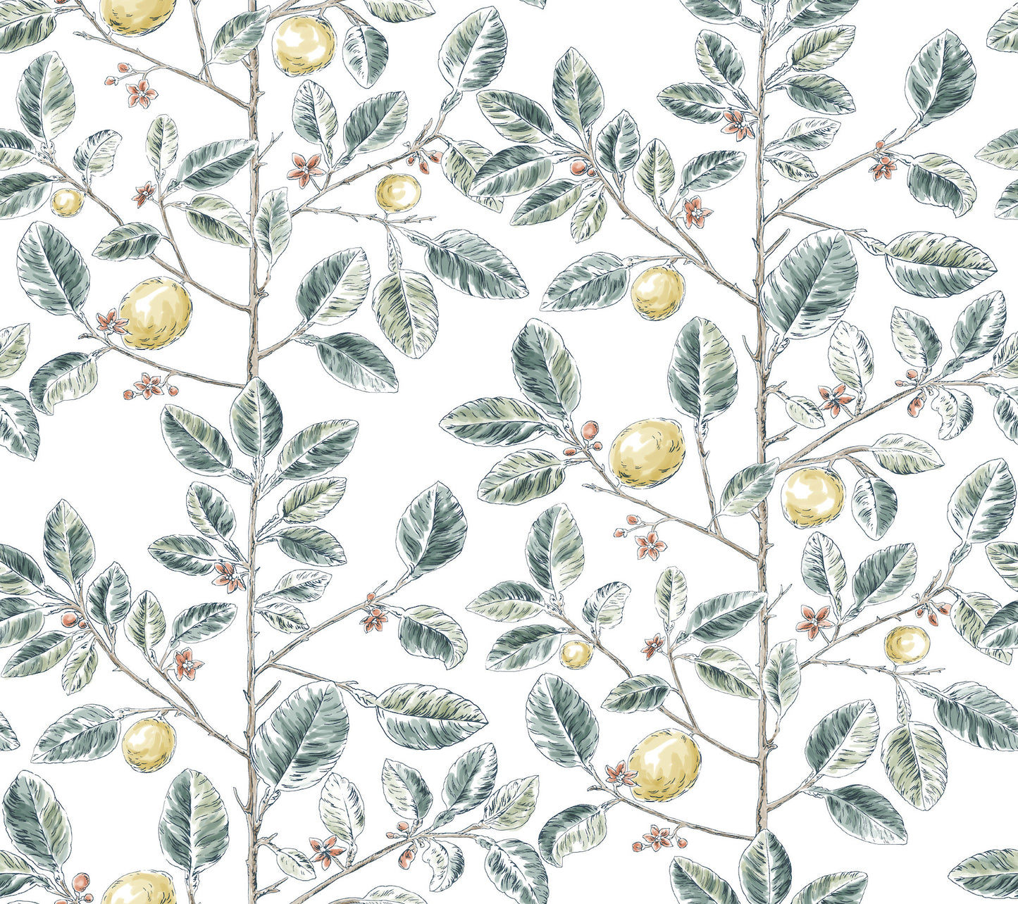 York Wallcoverings Toile Resource Library Limoncello Toile Forest Wallpaper Modern Toile Greens   - RT7914