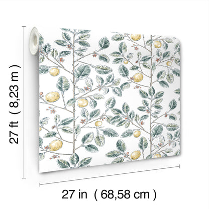 York Wallcoverings Toile Resource Library Limoncello Toile Forest Wallpaper Modern Toile Greens   - RT7914