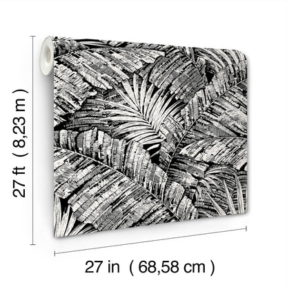 York Wallcoverings Toile Resource Library Palm Cove Toile White and Black Wallpaper Tropical Toile Blacks   - RT7921