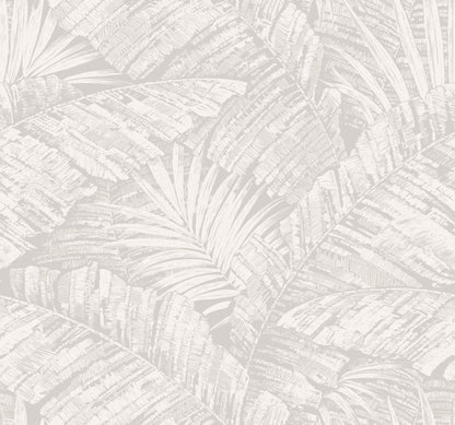 York Wallcoverings Toile Resource Library Palm Cove Toile White and Grey Wallpaper Tropical Toile Greys   - RT7922