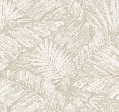 York Wallcoverings Toile Resource Library Palm Cove Toile White and Taupe Wallpaper Tropical Toile Beiges   - RT7926