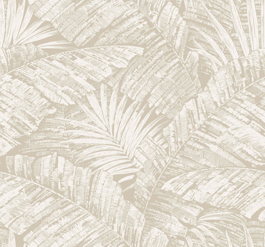 York Wallcoverings Toile Resource Library Palm Cove Toile White and Taupe Wallpaper Tropical Toile Beiges   - RT7926