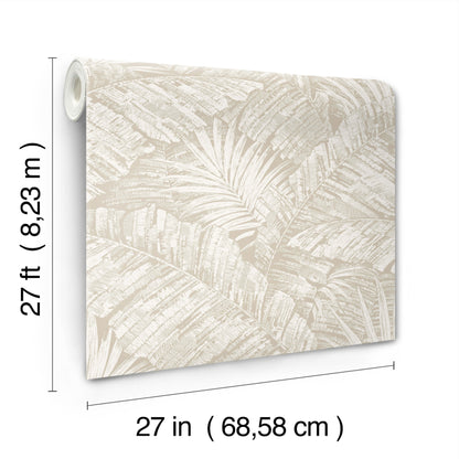 York Wallcoverings Toile Resource Library Palm Cove Toile White and Taupe Wallpaper Tropical Toile Beiges   - RT7926