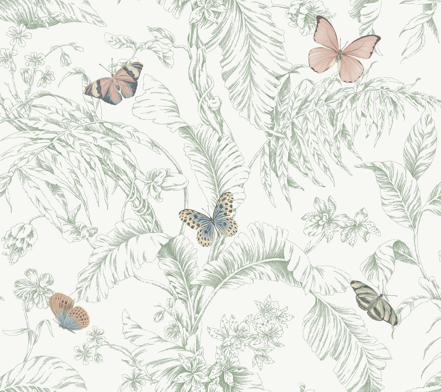 York Wallcoverings Black and White, III Papillon Blush Wallpaper Tropical Toile Whites and Off-Whites   - RT7930