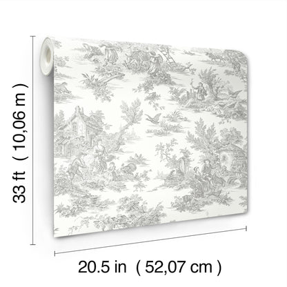 York Wallcoverings Blues II Campagne Toile Grey Wallpaper Traditional Toile Greys   - RT7940