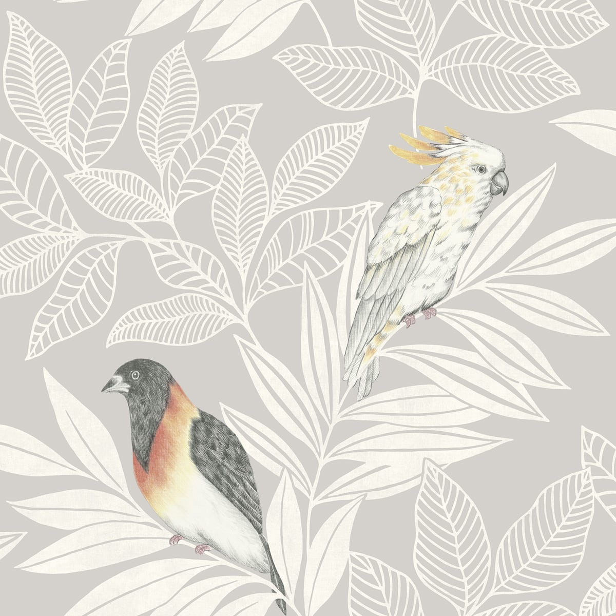 Seabrook Designs Boho Rhapsody Paradise Island Birds Animal Print Bohemian Grey Matte Sidewall - RY30100