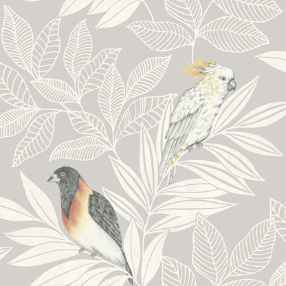 Seabrook Designs Boho Rhapsody Paradise Island Birds Animal Print Bohemian Grey Matte  - RY30100