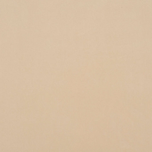 JF Fabrics Crypton Home SALUTE 93 Fabric Traditional,Transitional,Contemporary,Plain Creme,Beige  Texture,Velvet - 5762593 J7161