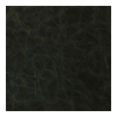 KRAVET CONTRACT VINYL/FAUX LEATHER TEXTURE GREEN,GREEN,GREEN   - SANTINA.303.0