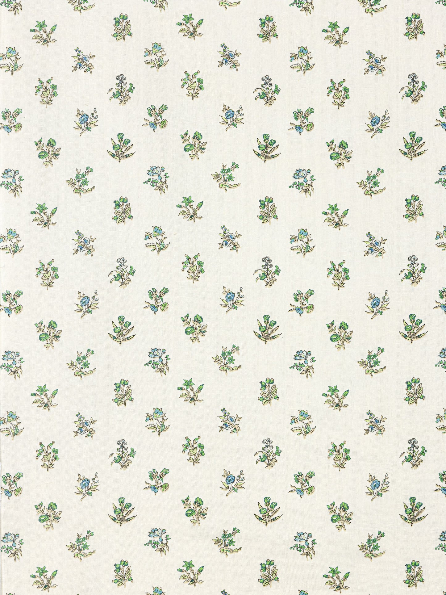 SCALAMANDRE SUMMER FLORA PRINT   KEY LIME   - SC166660002
