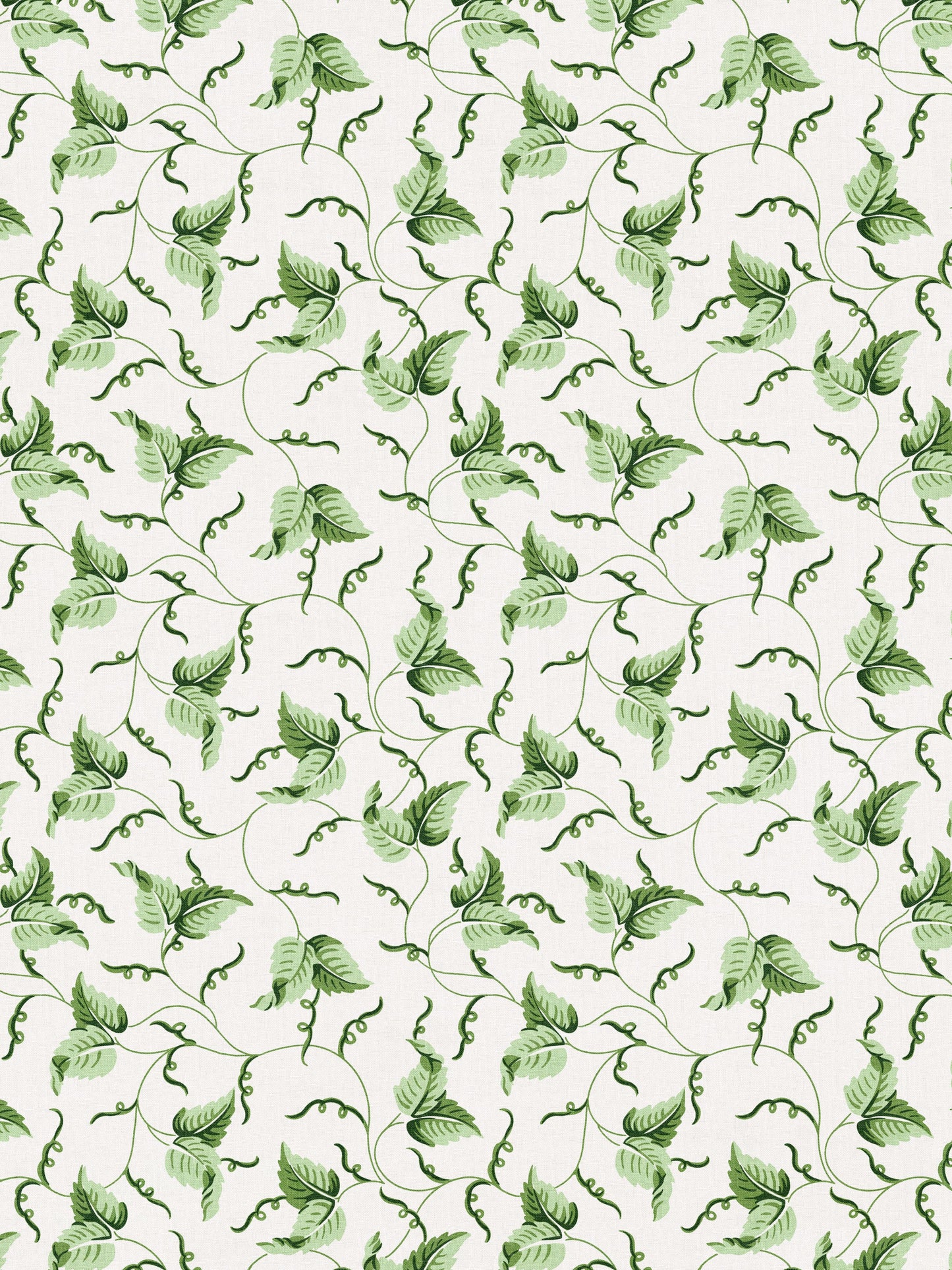 SCALAMANDRE ANGLE LEAF PRINT   MOSS   - SC166670001