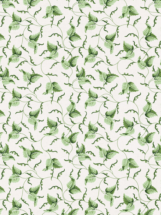 SCALAMANDRE ANGLE LEAF PRINT   MOSS   - SC166670001