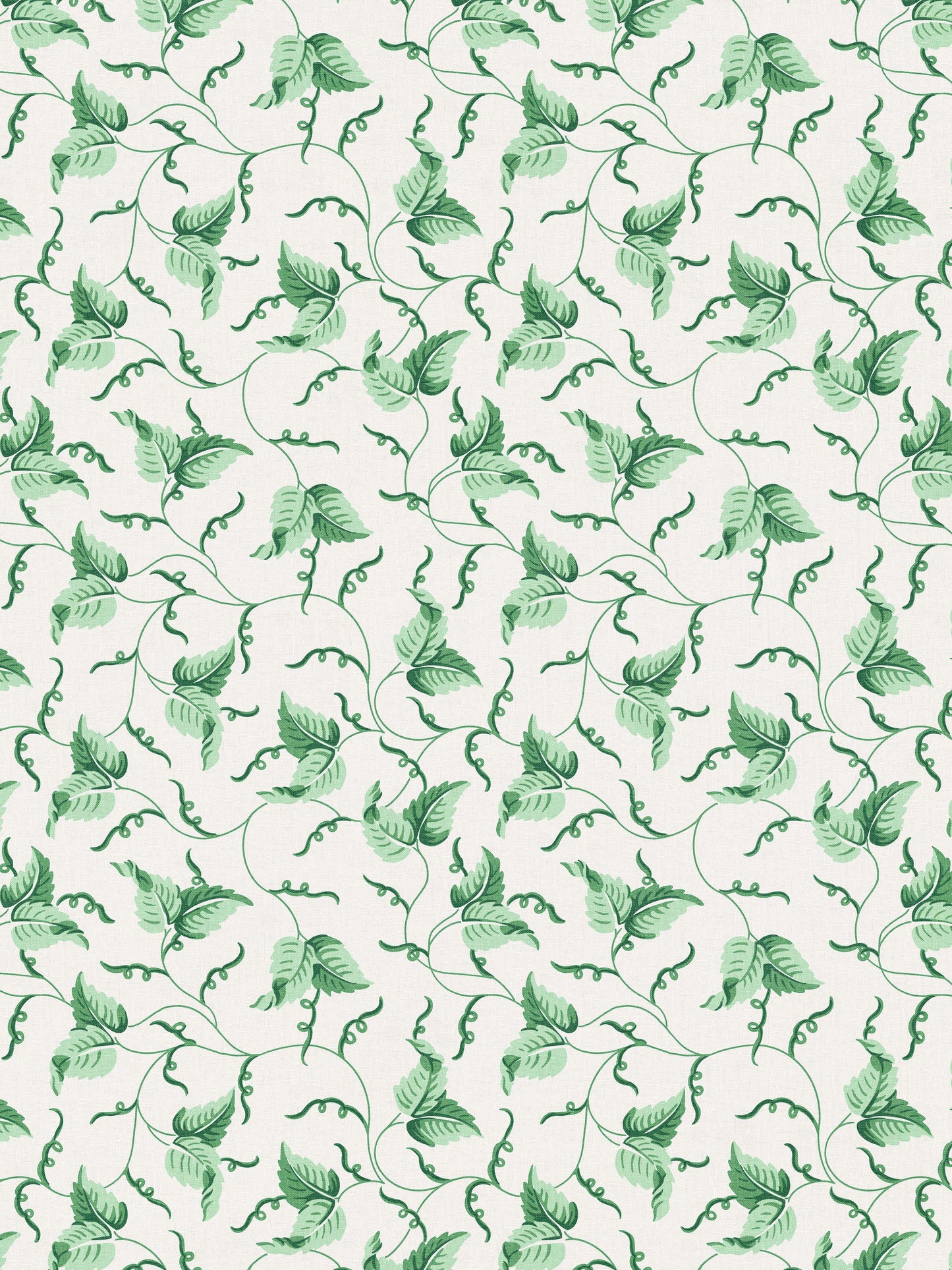 SCALAMANDRE ANGLE LEAF PRINT   JADE   - SC166670003