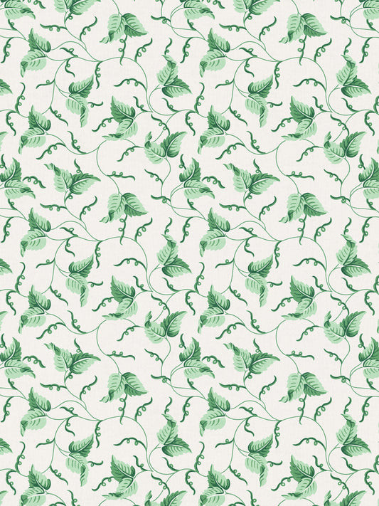 SCALAMANDRE ANGLE LEAF PRINT   JADE   - SC166670003