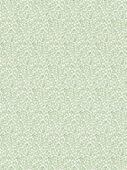 SCALAMANDRE BANDBOX PRINT   MEADOW   - SC166680001
