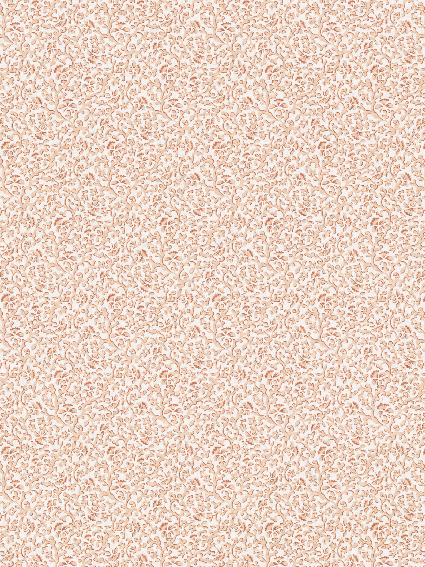 SCALAMANDRE BANDBOX PRINT   PEACH   - SC166680002