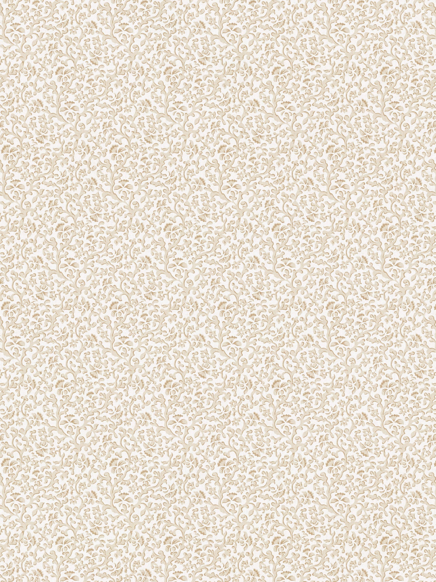 SCALAMANDRE BANDBOX PRINT   HAZELNUT   - SC166680007