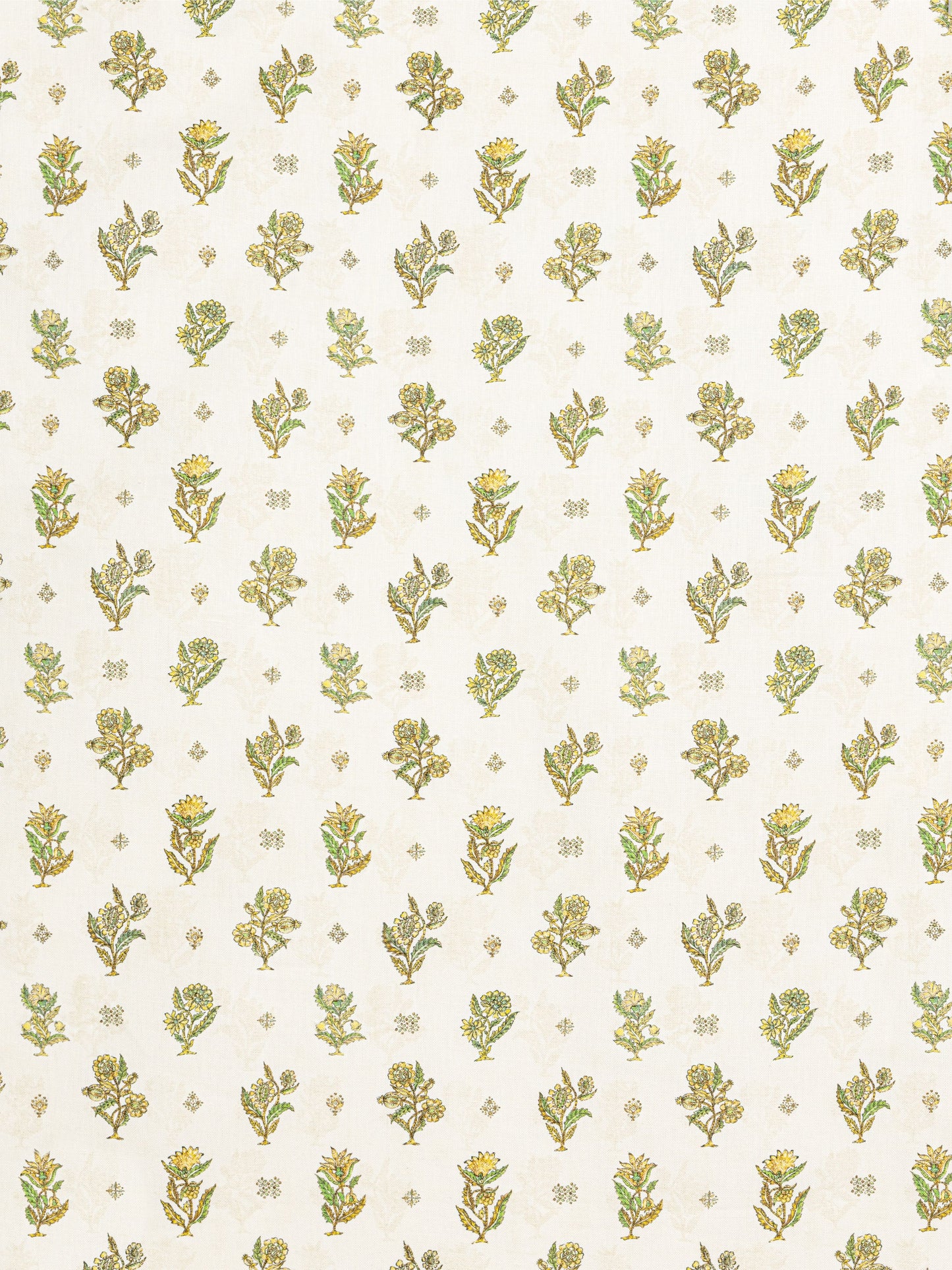 SCALAMANDRE CALICO PRINT   LEMONGRASS   - SC166690003
